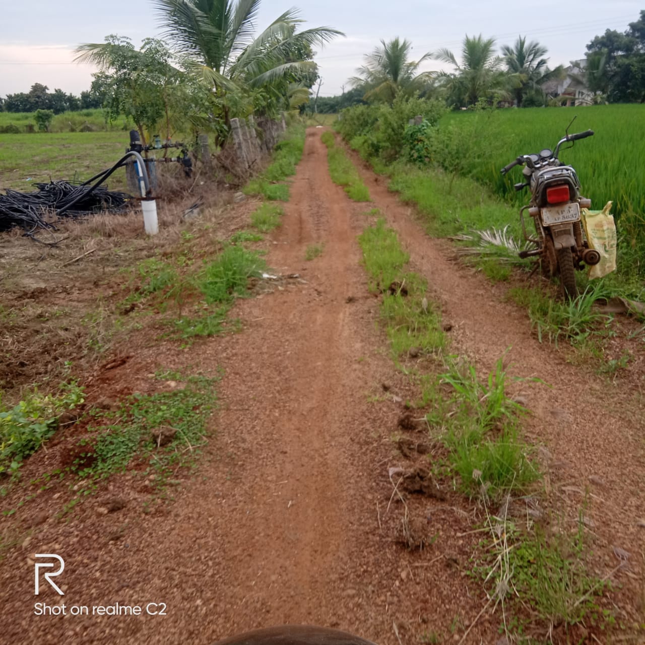 Estate Land For Sale Vissannapeta Sattupalli Road Andhra Pradesh Sfarmsindia Com